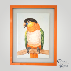 Perroquet au plumage coloré