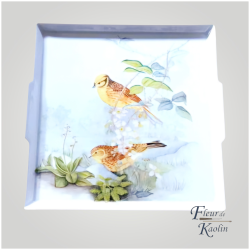 Le bruant jaune - Plateau...