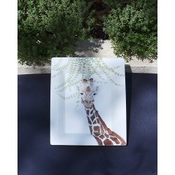 Vide-poche : La girafe...